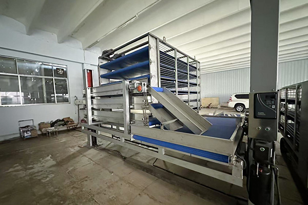 散装毛鸡接收流水线