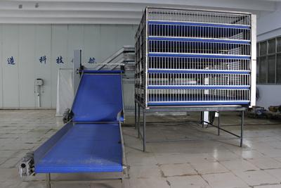 毛鸡散装集装笼