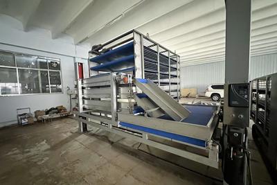 散装毛鸡接收流水线