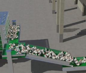 集装笼衔接卸鸡流水线作业