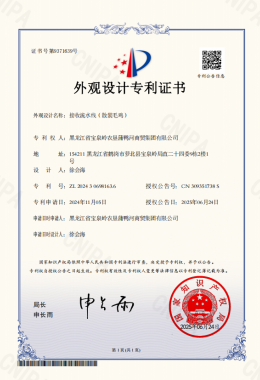 外观设计专利证书