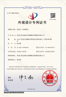 外观设计专利证书