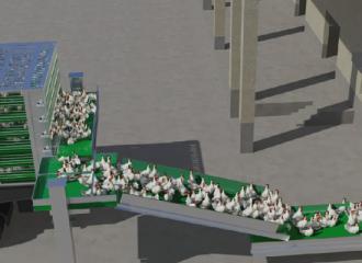 集装笼衔接卸鸡流水线作业