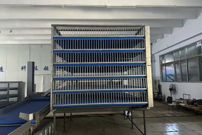 毛鸡散装集装笼