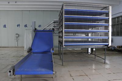 鑫万穗（泰安）农业责任有限公司