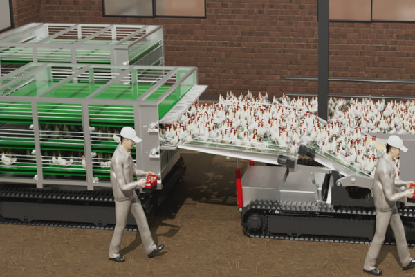 转运车与收集车协同作业 转运车与收集车协同作业