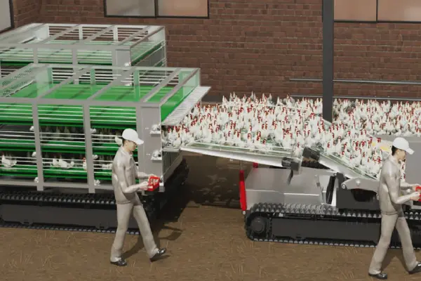 转运车与收集车协同作业