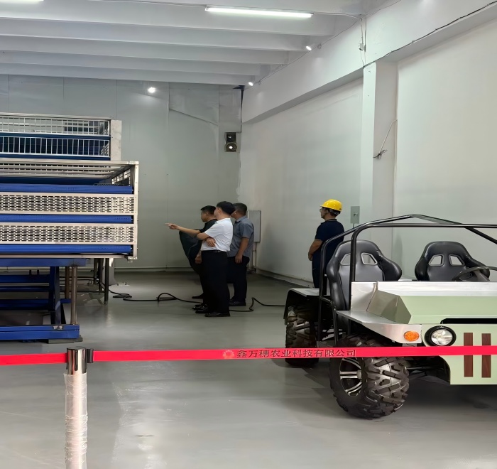 1758000436386277.jpg A.jpg