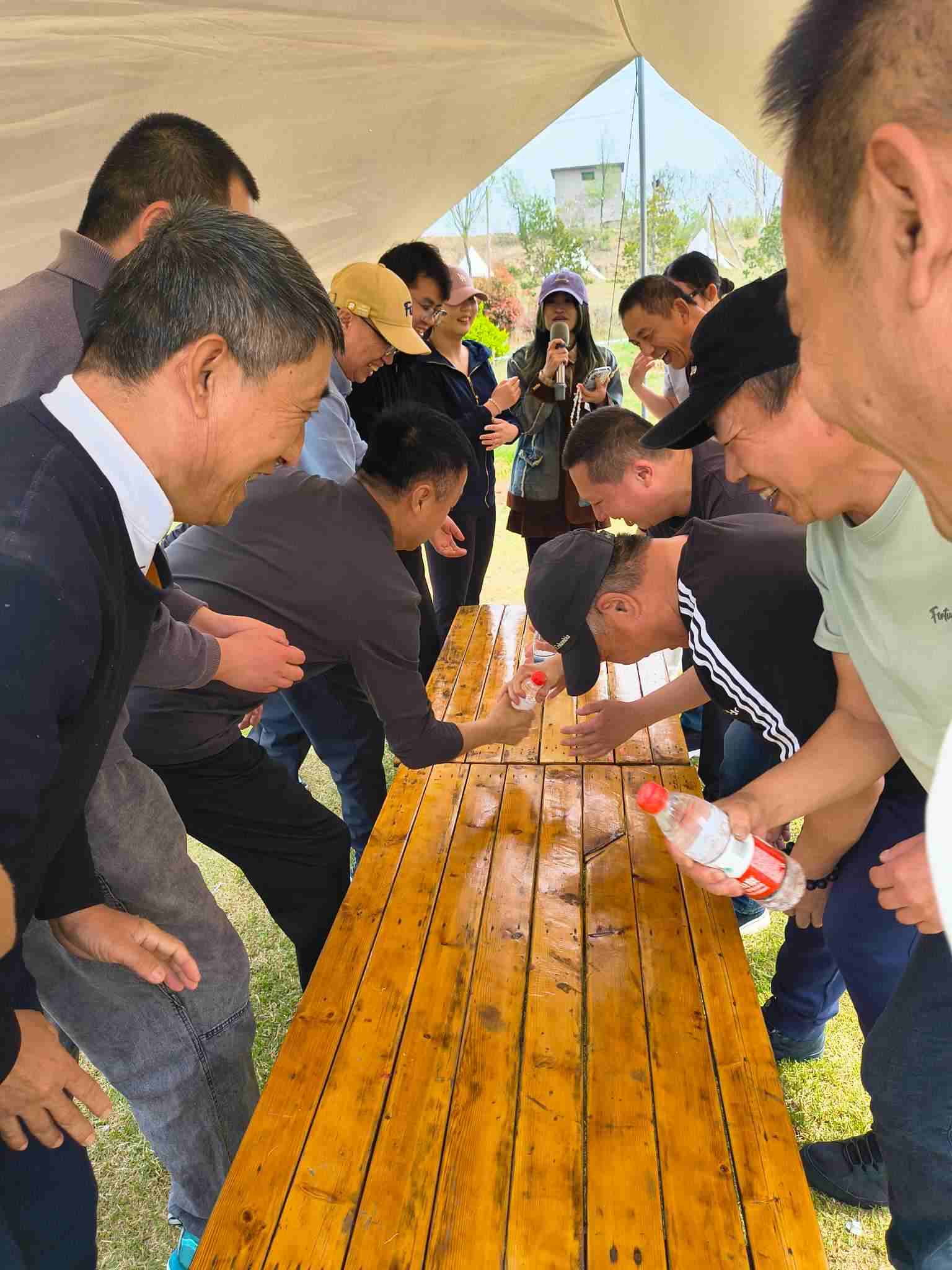 1776220945475810.jpg 5.jpg